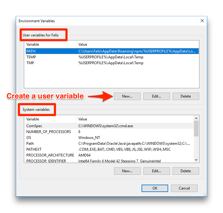 Environment Variables